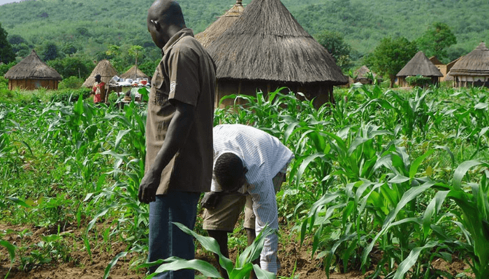 Benue SEMA distributes FG’s 2nd phase palliatives to vulnerable citizens
