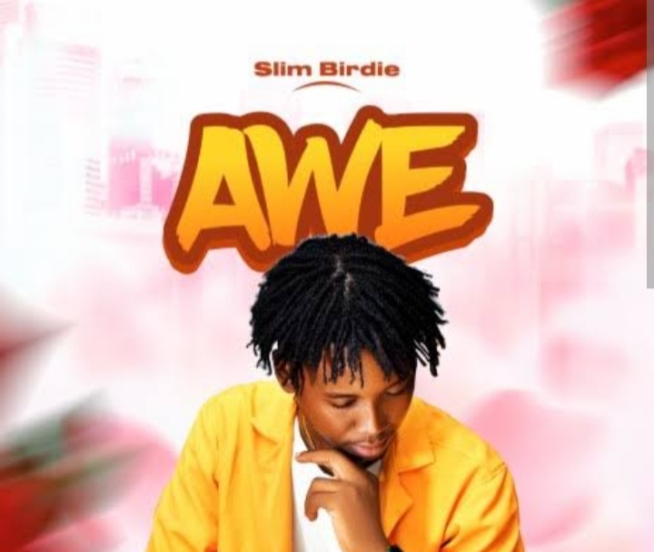 Slim Birdie, Awe, Slim Birdie Awe,